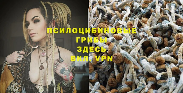 МДМА Осташков