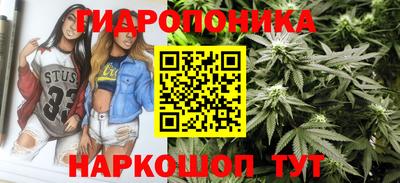apvp Рузаевка