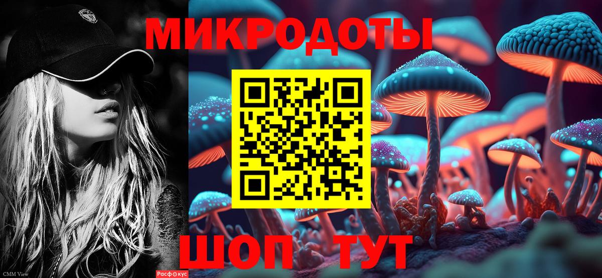 Галлюциногенные грибы Psilocybe  Вход с VPN  Шуя 