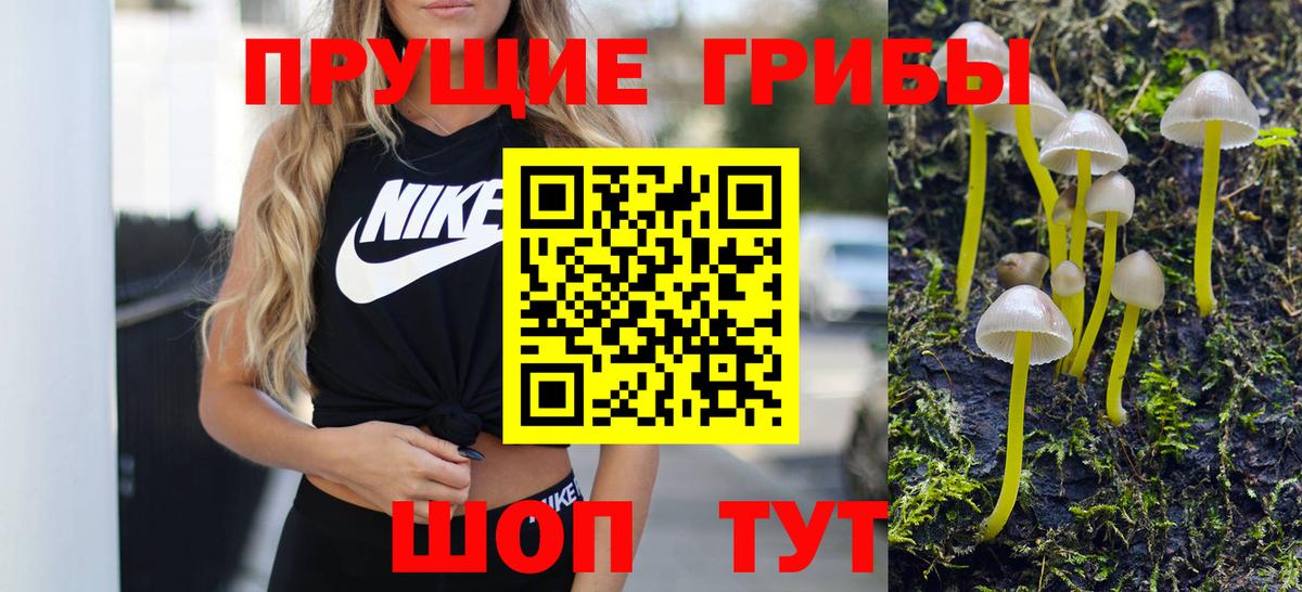 Галлюциногенные грибы прущие грибы Шуя